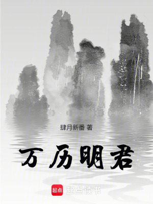 万历明君封面