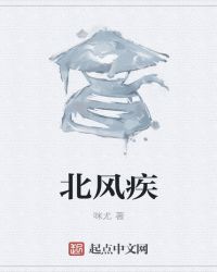 北风疾封面