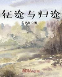 征途与归途封面