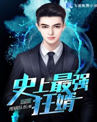 极品至尊赘婿封面