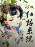 [红楼]系统封面