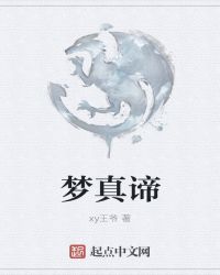 梦真谛封面
