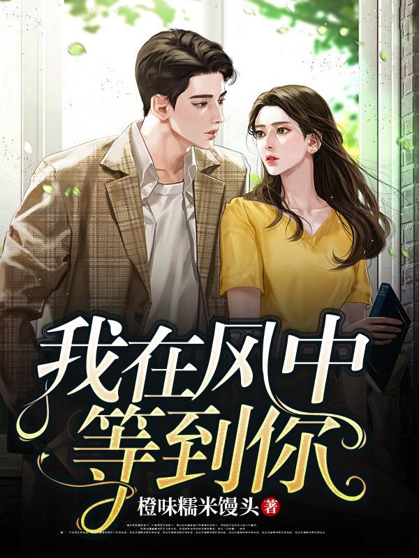 我在风中等到你封面