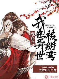 魂穿之我在异世被掰弯封面