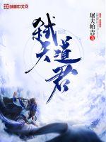 弑天道君封面