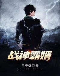 战神霸婿封面