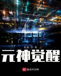 元神觉醒封面