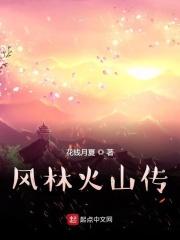 风林火山传封面
