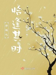 穿越之恰逢其时封面