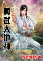 真武大地神封面