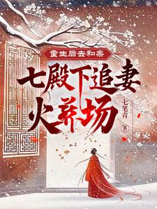重生后去和亲，七殿下追妻火葬场封面