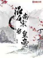 混在南宋当皇帝封面