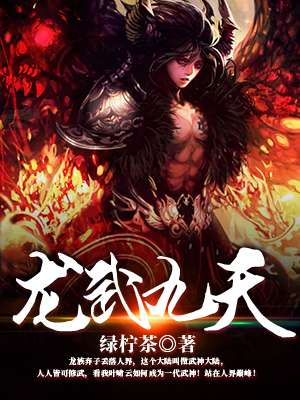 龙武九天封面