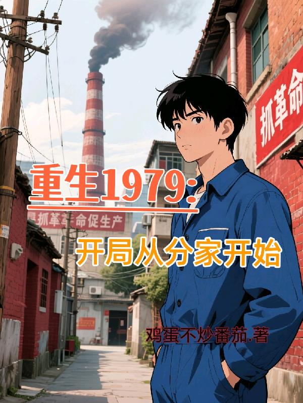 重生1979开局从分家开始封面