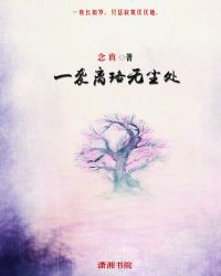 一袭离珞无尘处封面