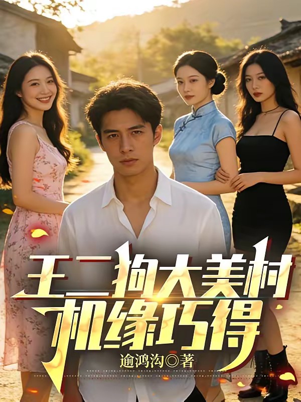 王二狗大美村机缘巧得封面