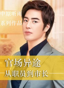 官场异途：从职员到市长封面
