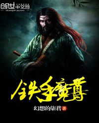 铁手魔尊封面