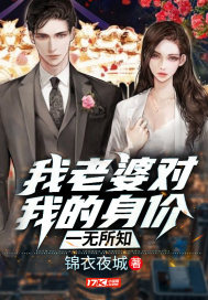 我老婆对我的身价一无所知封面