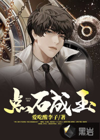 点石成玉封面