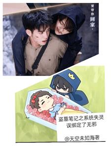 盗墓笔记之系统失灵误绑定了无邪封面