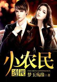 透视小农民封面
