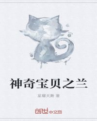 神奇宝贝之兰封面