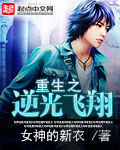 重生之逆光飞翔封面