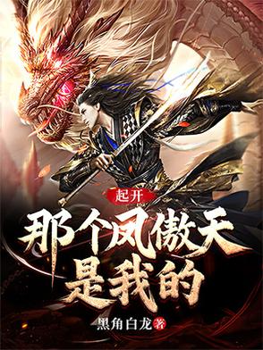起开，那个凤傲天是我的封面