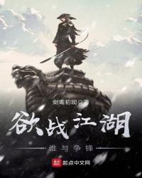 欲战江湖谁与争锋封面