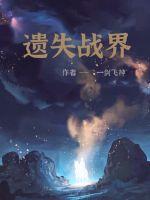 遗失战界封面