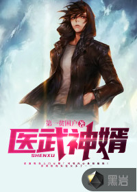 医武神婿封面