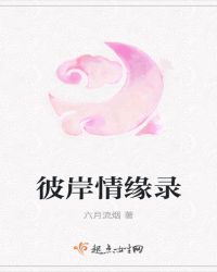 彼岸情缘录封面