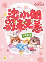 沈小姐，别来无恙封面