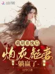 恶媳无情？世子大人你腰带开了封面