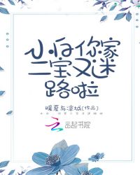 小白，你家二宝又迷路啦封面