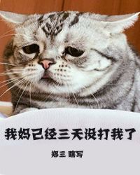 我妈已经三天没打我了封面