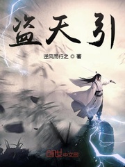 盗天引封面