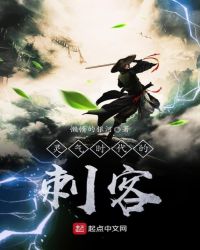 灵气时代的刺客封面