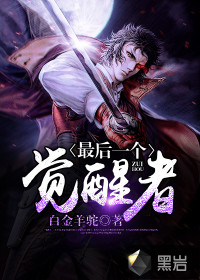 最后一个觉醒者封面