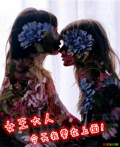 女王大人，今天我要在上面！封面