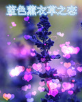蓝色薰衣草之恋封面