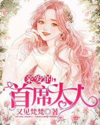 亲爱的首席大人封面