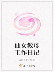 仙女教母工作日记封面