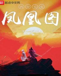 西望长安——凤凰图封面