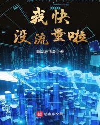 我快没流量啦封面