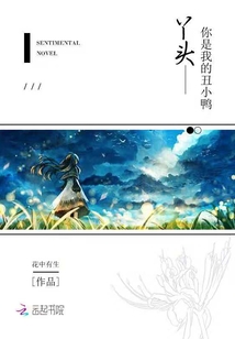 丫头你是我的丑小鸭封面