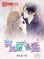 我的天后小娇妻封面