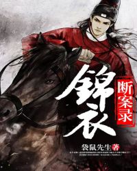 锦衣断案录封面
