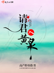 请君入黄泉封面